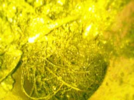 Drain Cleaning Nottingham Drain Cleaning Nottingham